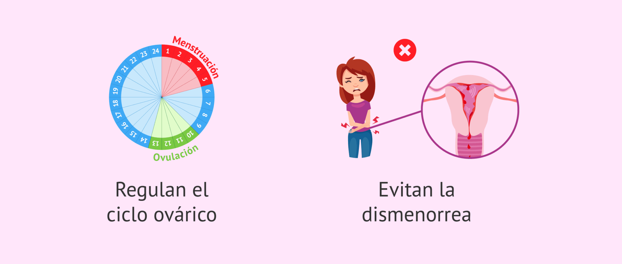 Cómo es la menstruación irregular y cuáles son sus causas