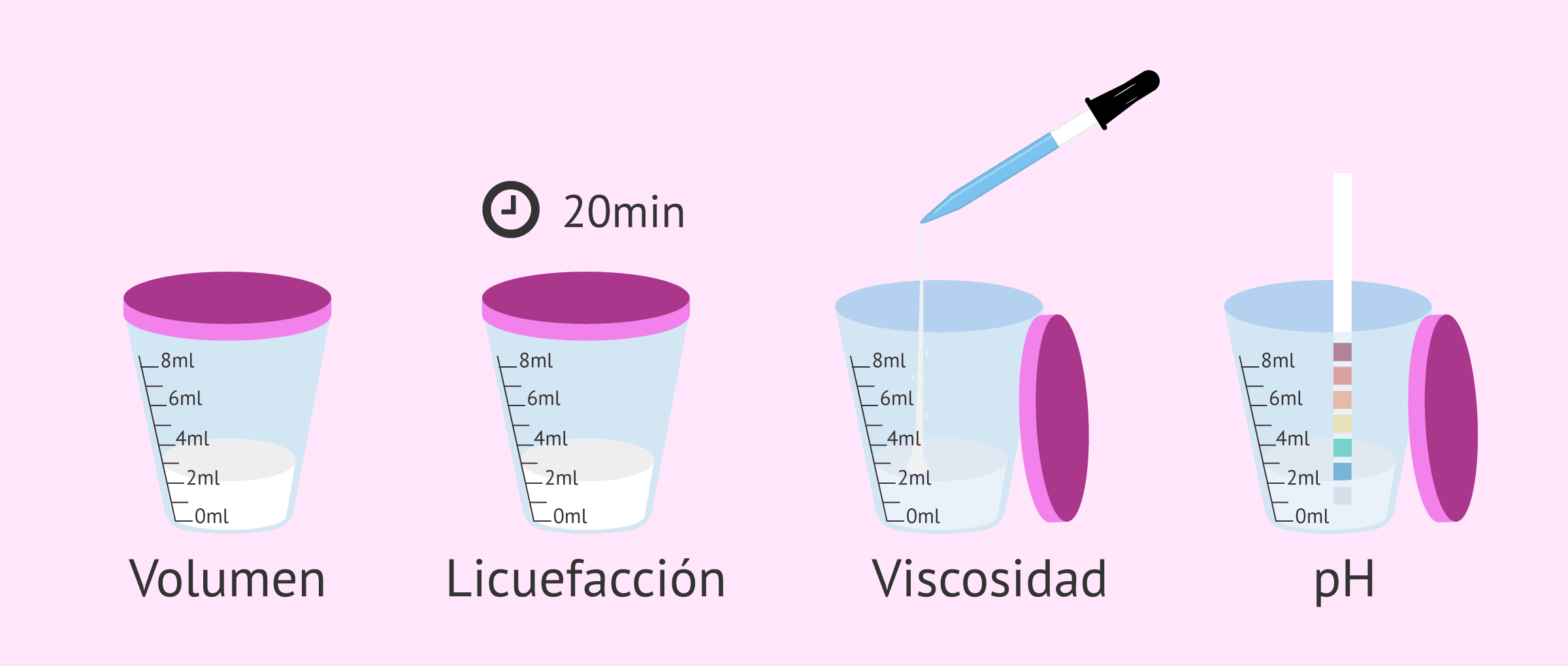 Pruebas del estudio macroscópico del semen