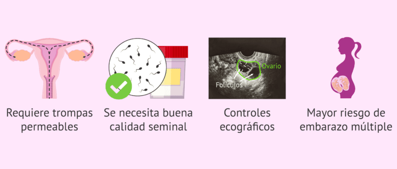 Es mejor el coito programado o la inseminación artificial IA