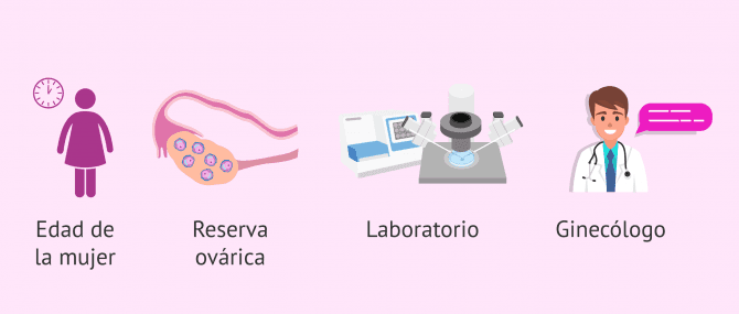 Imagen: factores-exito-tratamiento