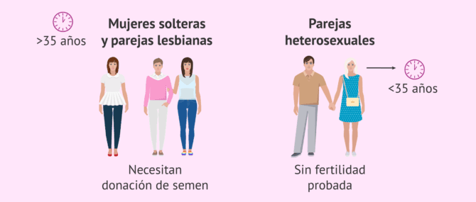 Imagen: Indicaciones IA en ciclo natural