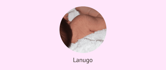 Imagen: lanugo-que-es