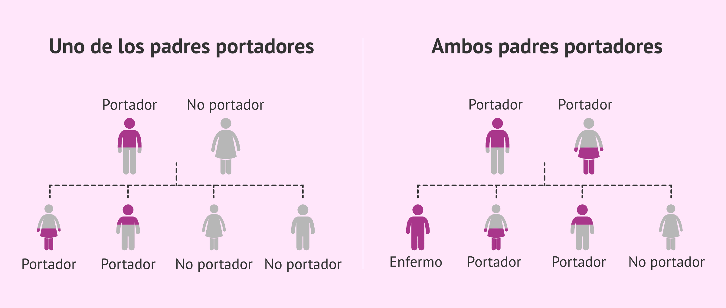 Imagen: Patrón de herencia de la hemofilia tipo C