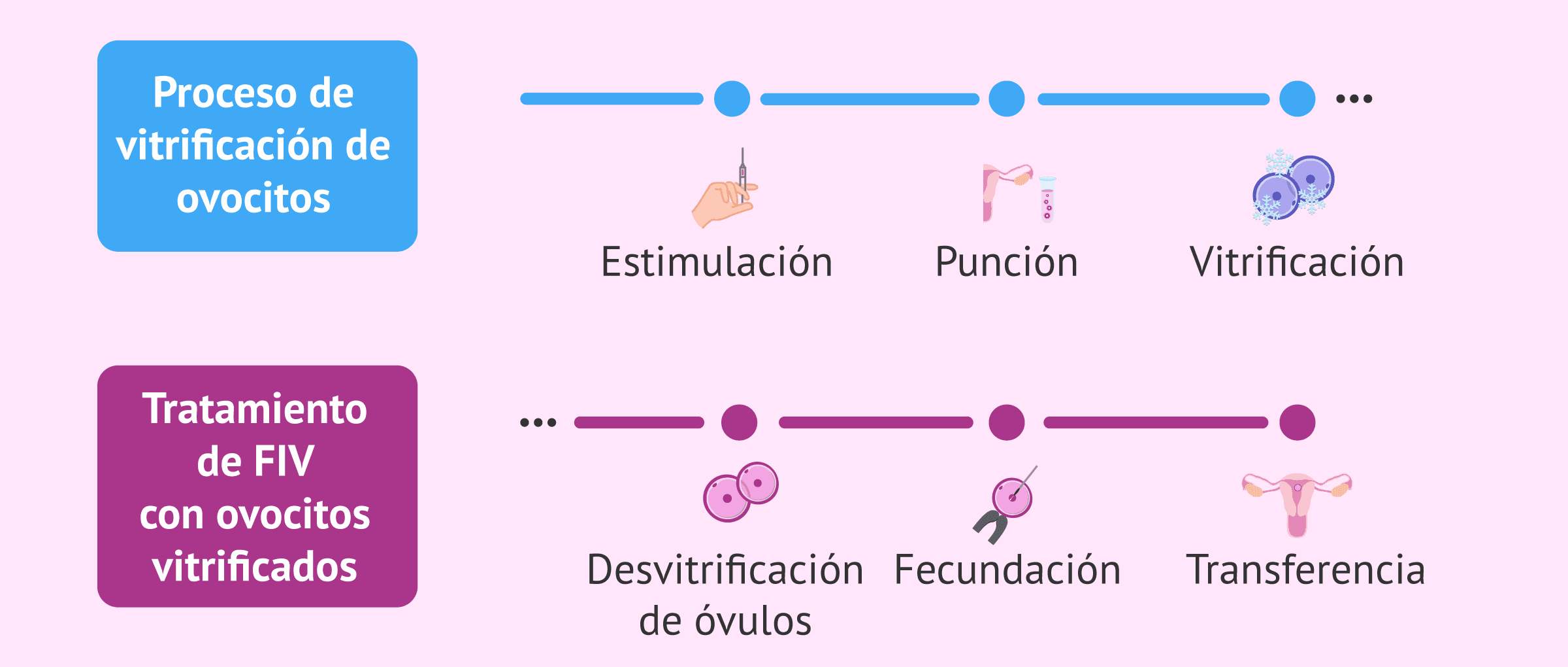 Proceso de la FIV con óvulos congelados