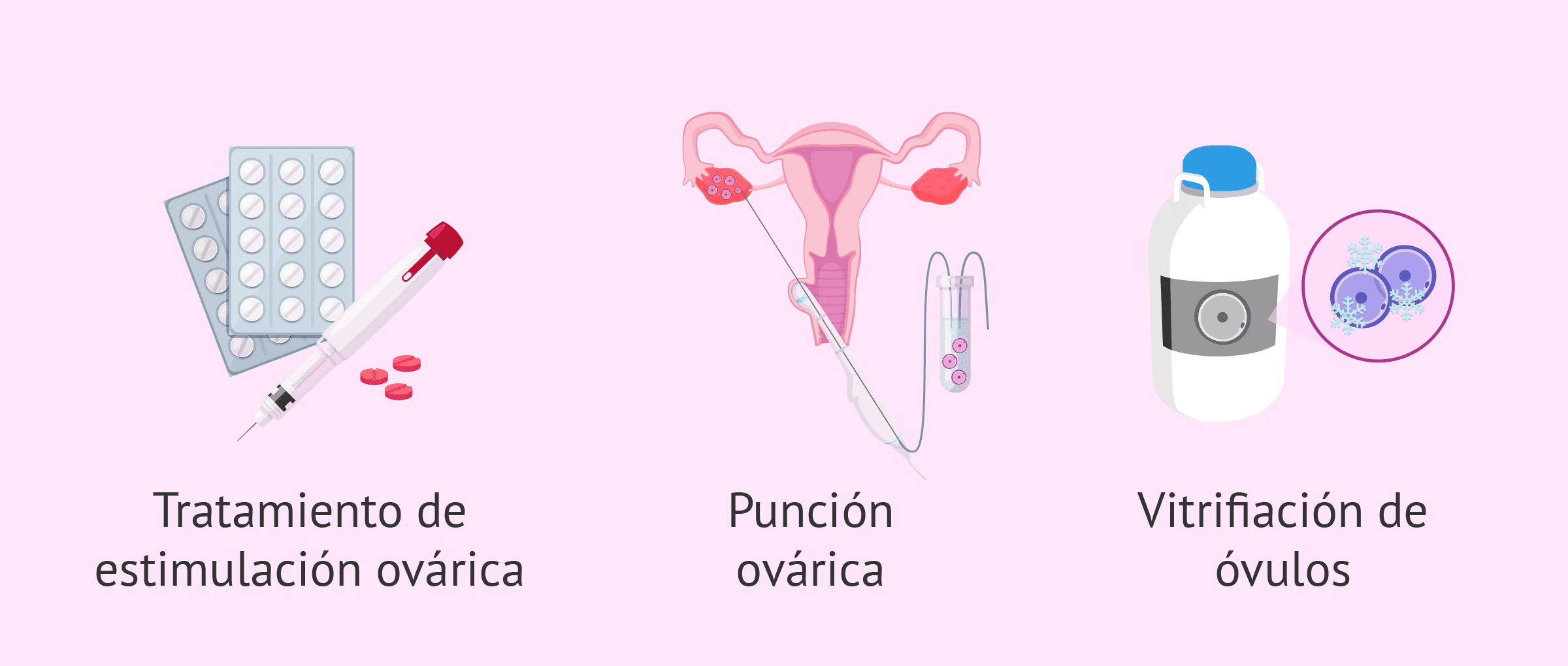 Proceso de vitrificación de ovocitos