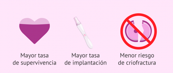 Imagen: Se hace un estudio comparativos sobre las canlidad de los ovocitos en ambos casos.