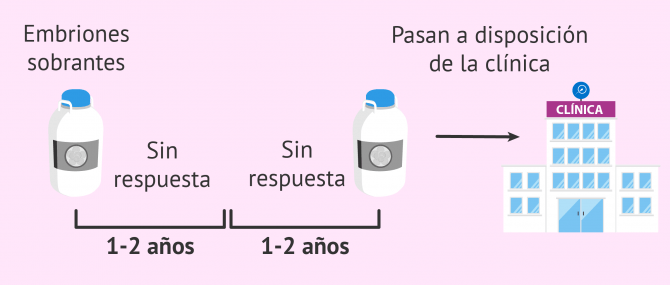 Imagen: Los embriones abandonados pasan a disposición de la clínica