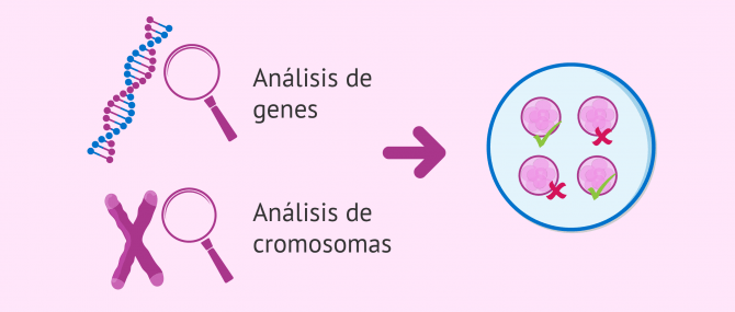 Imagen: Información genética (ADN): cromosomas y genes