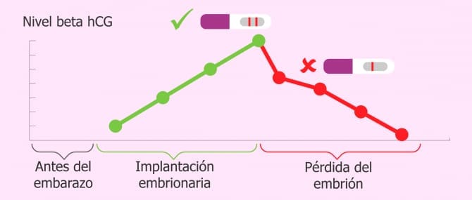 Imagen: Evolución de la beta hCG en un embarazo bioquímico