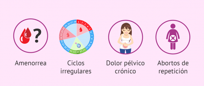 Imagen: Alteraciones en la fertilidad en personas celíacas.