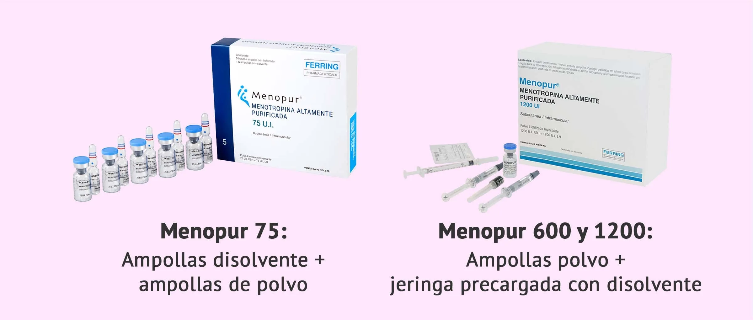 Formatos y contenido de Menopur