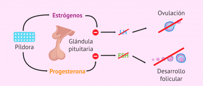 Imagen: Ausencia de regla por métodos anticonceptivos