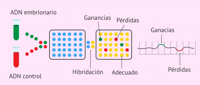 Imagen: Análisis genético por arrays de CGH