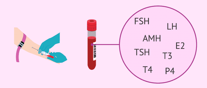 Imagen: Analítica para comprobar los niveles hormonales