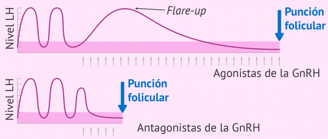 Imagen: Supresión o inhibicion de la actividad hipofisaria