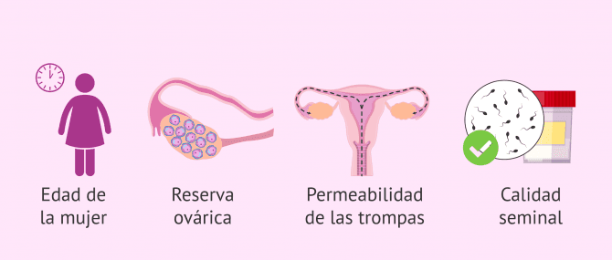 Imagen: Aspectos para la elección del tratamiento reproductivo