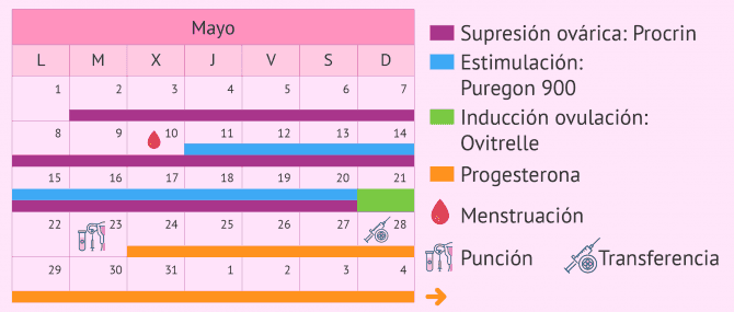 Imagen: Calendario de medicación para un protocolo de estimulación largo