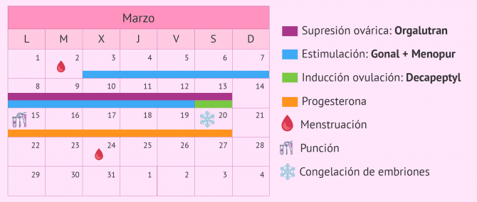 Imagen: Calendario de medicación para un protocolo de estimulación corto