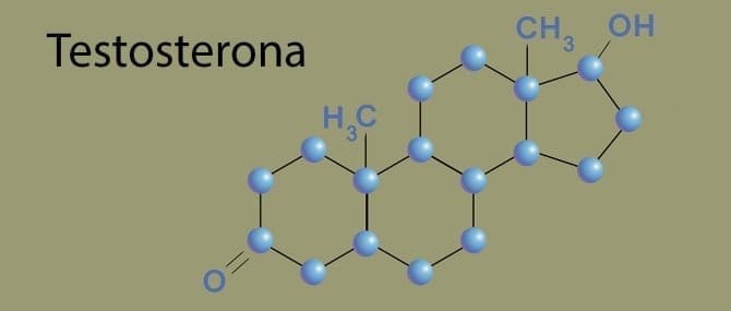 Imagen: Cambios bioquímicos de testosterona