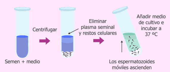 Capacitación por 'swim-up'