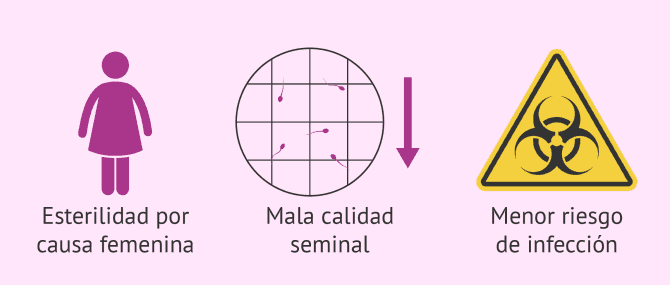 Imagen: Motivos para recurrir a la fecundación in vitro.