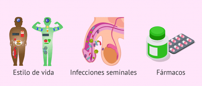 Imagen: Causas reversibles de teratozoospermia