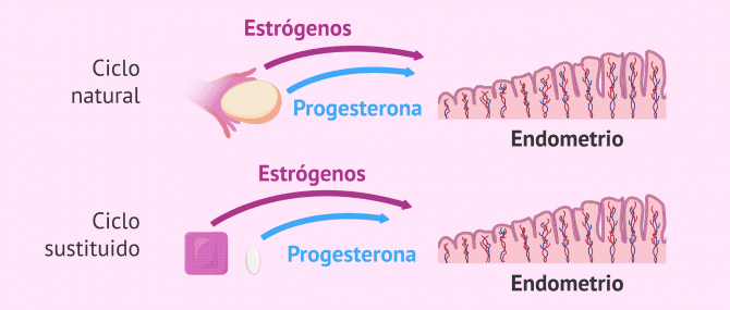 Imagen: Ciclo natural y ciclo sustituido para transferencia diferida