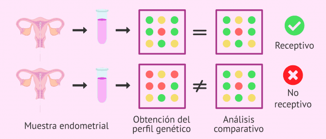 Imagen: Comparativa de los genes que se expresan en el endometrio