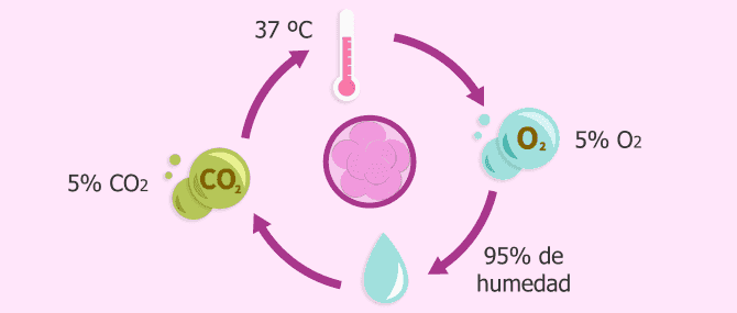 Imagen: Condiciones en el laboratorio