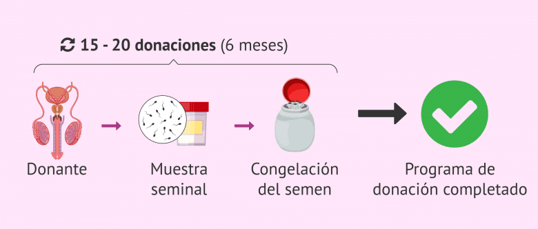 Imagen: Proceso de la congelación de semen de donante