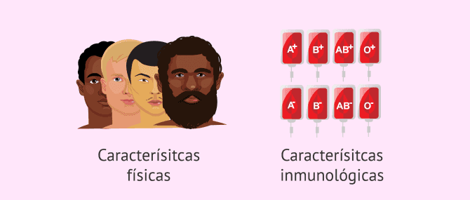 Imagen: Selección del donante de semen