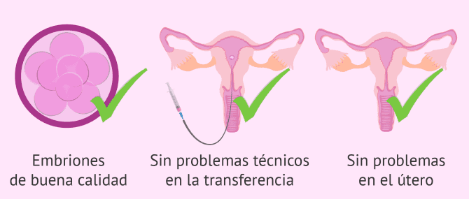 Imagen: Pruebas médicas