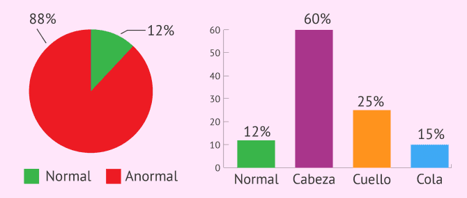 Imagen: Resultados del análisis de la morfología espermática