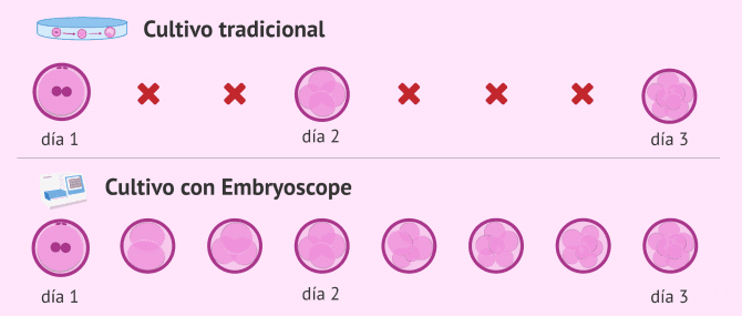 Imagen: Cultivo con Embryoscope vs cultivo tradicional