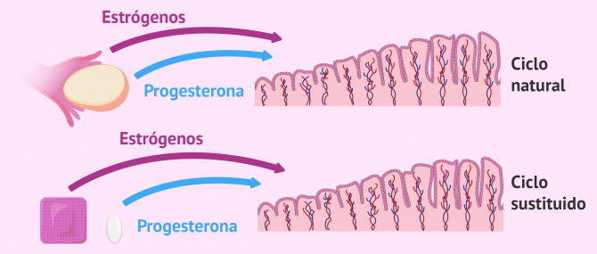 Imagen: Varias estrategias para preparar el endometrio