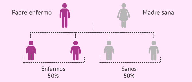 Imagen: Herencia de enfermedades autosómicas dominantes