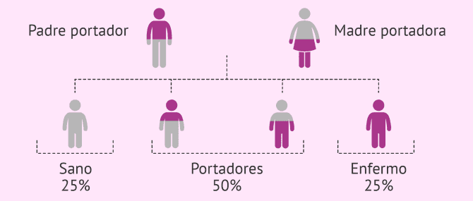 Imagen: Herencia de enfermedades autosómicas recesivas