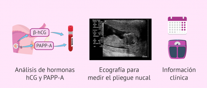 Imagen: Cribado combinado de primer trimestre de embarazo