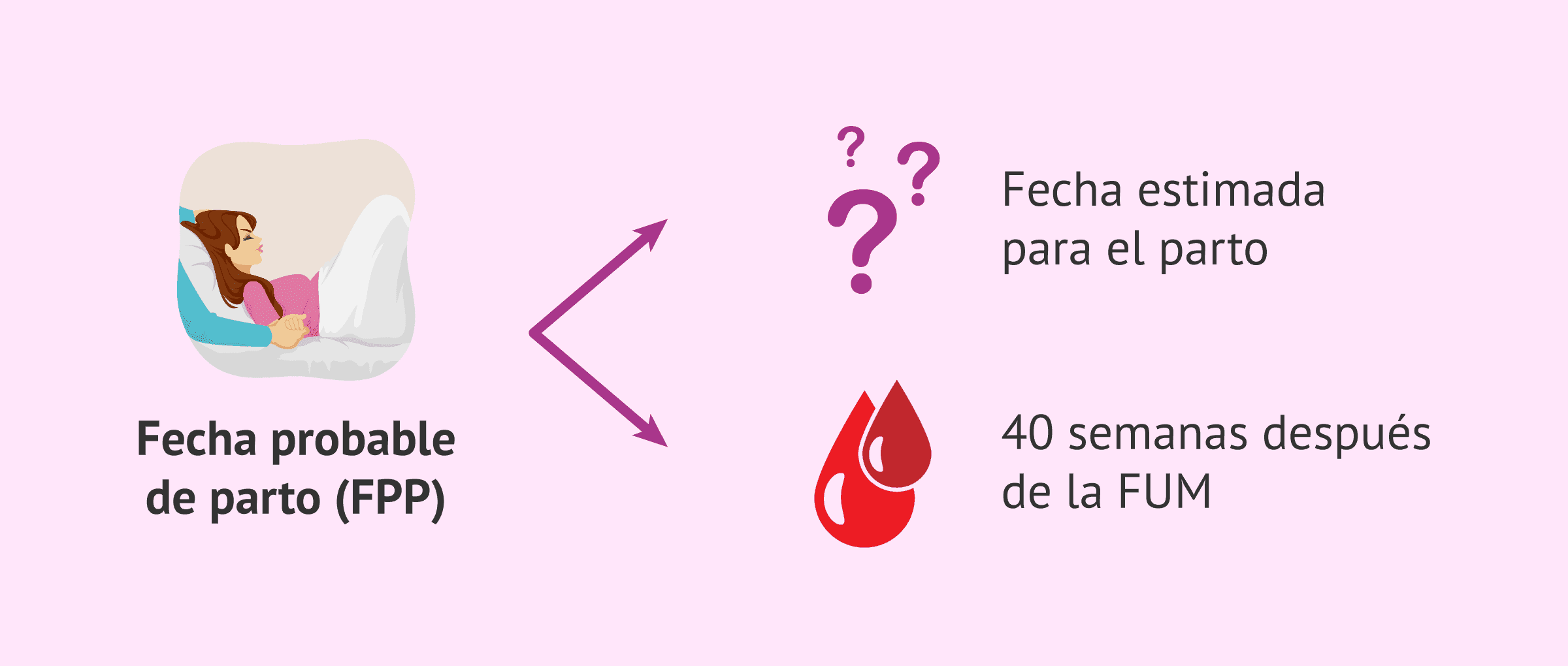 Imagen: ¿Cómo saber cuál es la FPP?