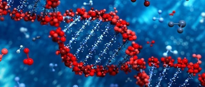 Imagen: Fragmentación del DNA embrionario