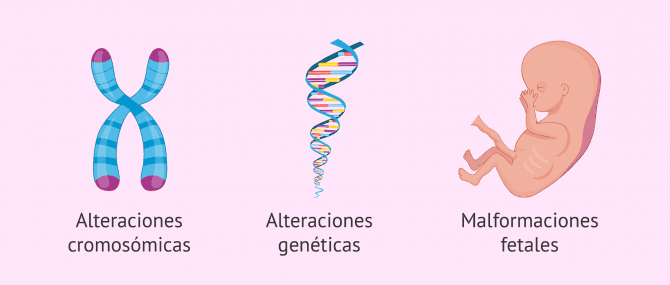 Imagen: Análisis del líquido amniótico