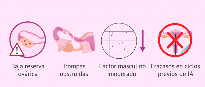 Imagen: Indicaciones para un tratamiento de FIV