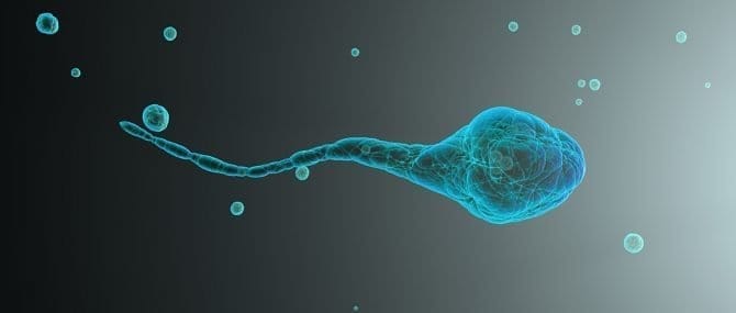 Imagen: espermatozoides artificiales-infertilidad-investigaciones-humanos-semen artificial