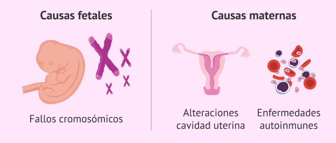 Imagen: Posibles causas del aborto espontáneo