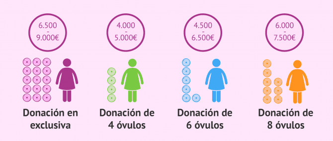 Imagen: Precio de los tratamientos de FIV con donación de óvulos