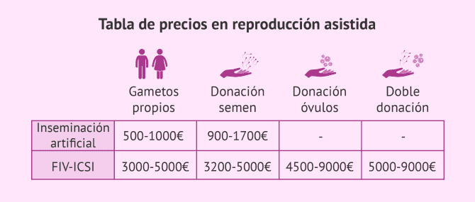 Imagen: ¿Cuánto cuesta un tratamiento de reproducción asistida?