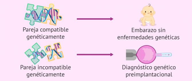 Imagen: Evitar la transmisión de enfermedades genéticas