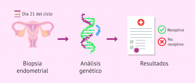 Imagen: Procedimiento para el test ERA