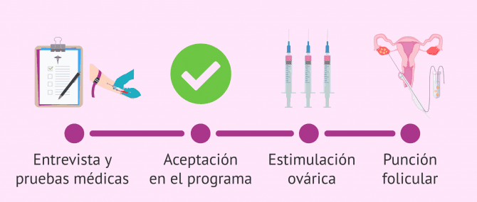 Imagen: Proceso de donación de óvulos