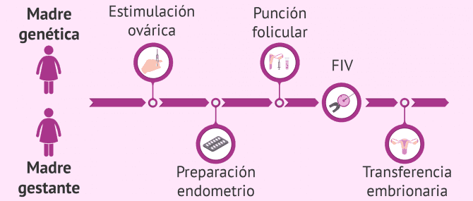 Imagen: Recepción de óvulos u ovocitos de la pareja